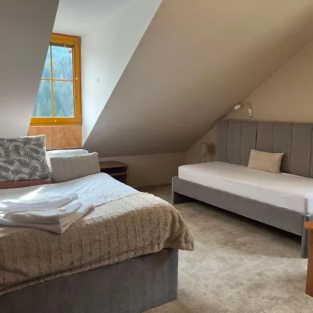 게스트하우스 Bawaria Wellness Retreat 4*