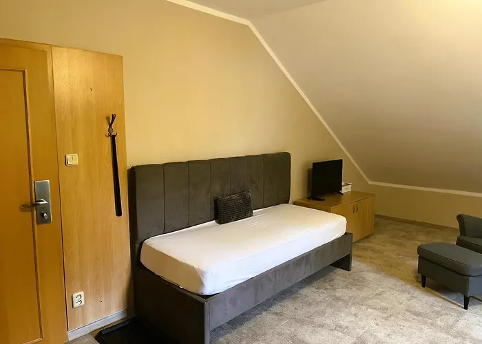 Casa de hóspedes Bawaria Wellness Retreat 4*